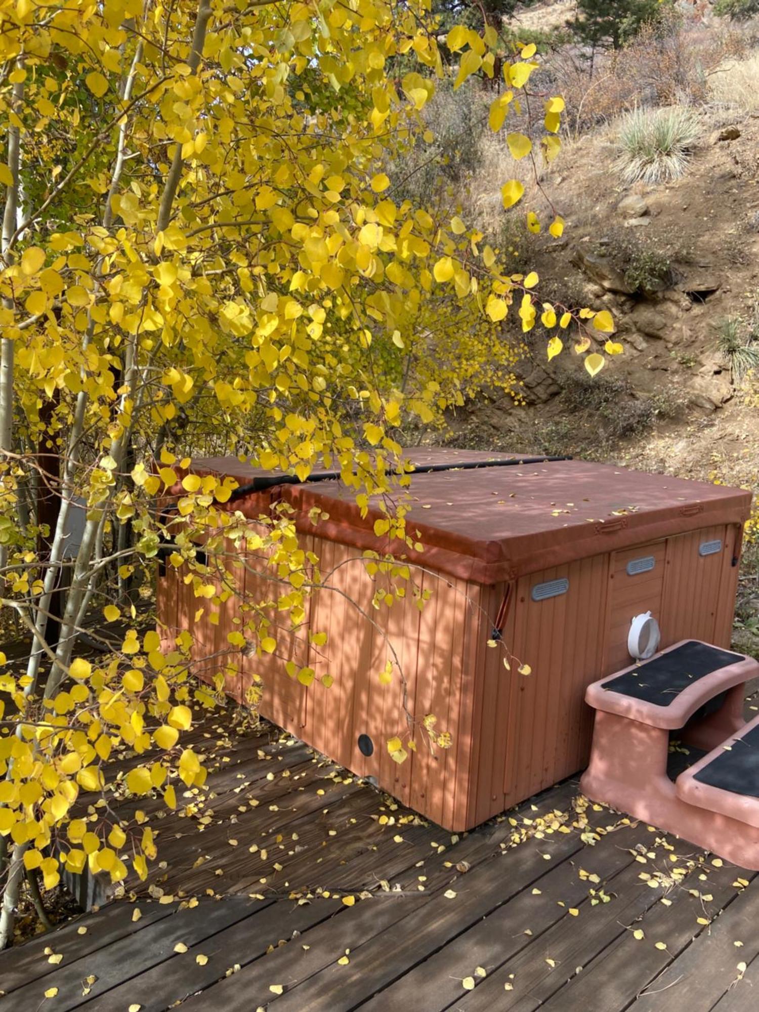Colorado Bed & Breakfast With Beautiful Views Evergreen Esterno foto